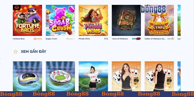Câu hỏi thường gặp về giấy phép của Bong88